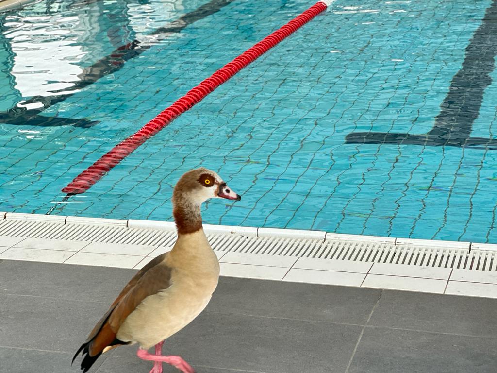 WhatsApp Image 2023-11-02 at 08.40.24 (2).jpeg